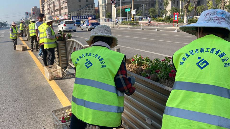 城市道路绿化现场作业